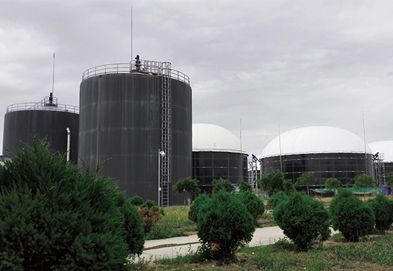 Bagaimana memilih tempat Biogas membran ganda?